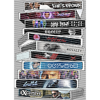 idol singer-GS  2638